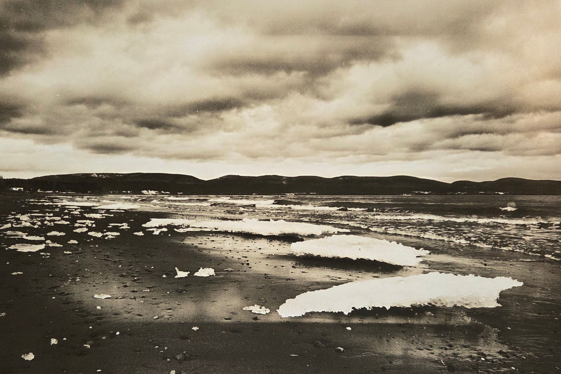 2 degrés - Exposition à la galerie du Cégep de Gaspé, Chrysalide