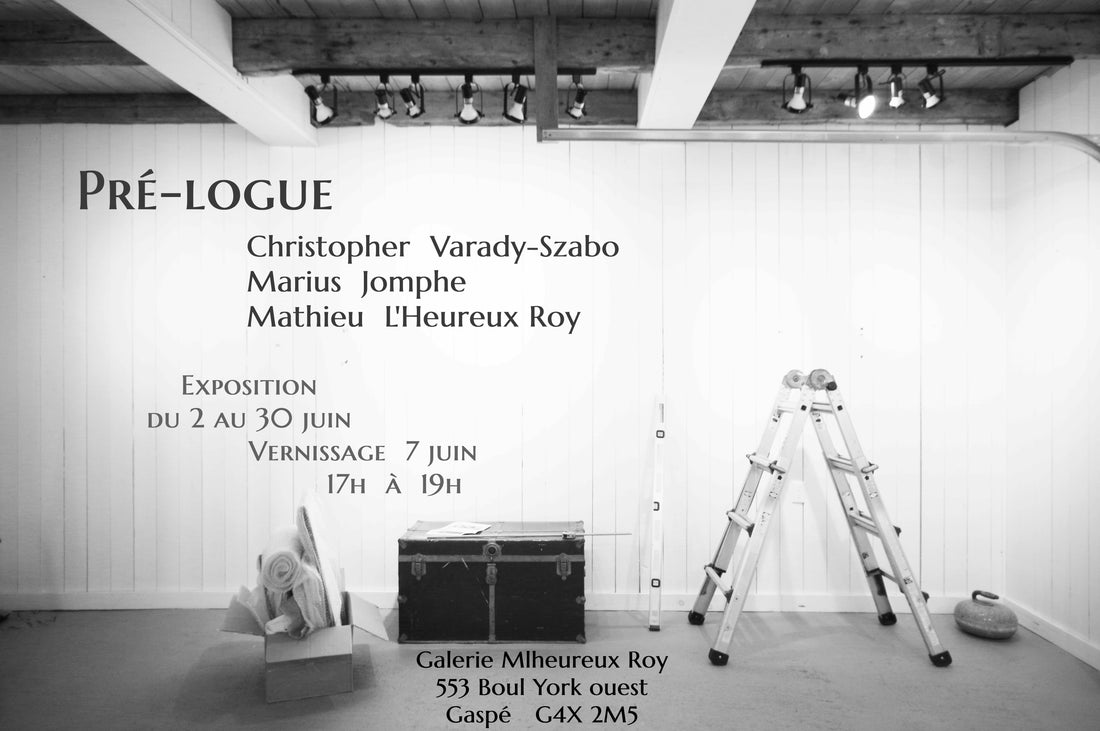 Expositions, photographies, livres et dessins : un été culturel à Gaspé