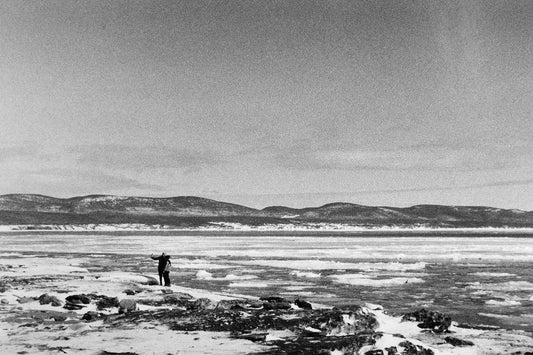 Le "selfie", les "likes"