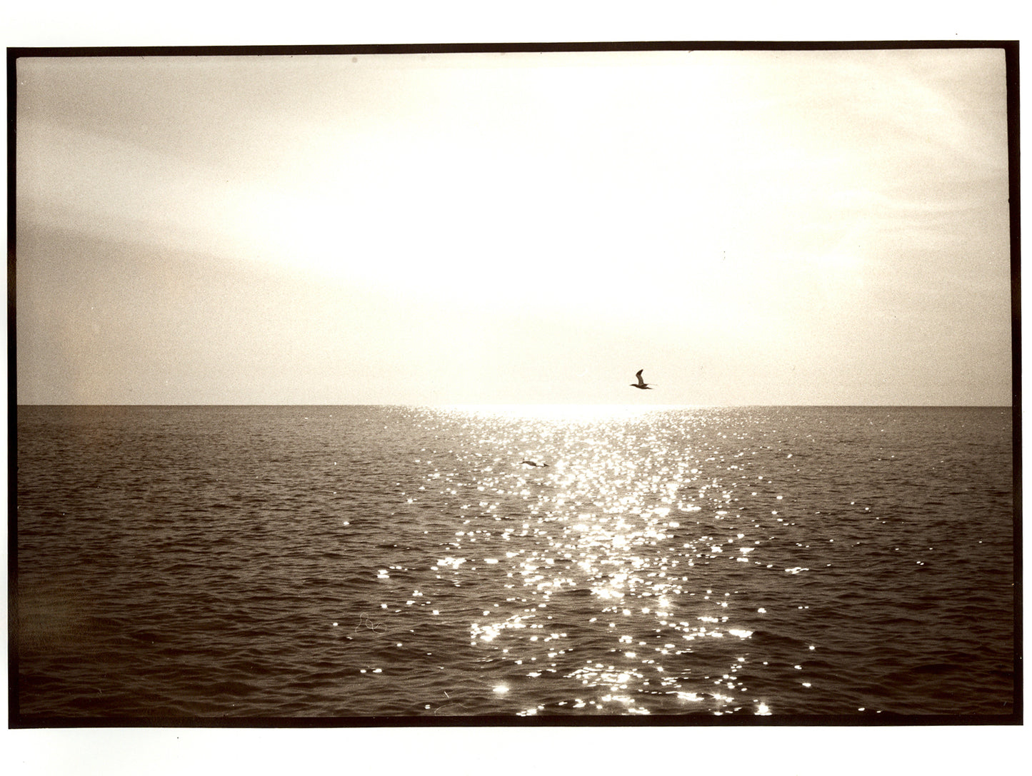 Le périple commence