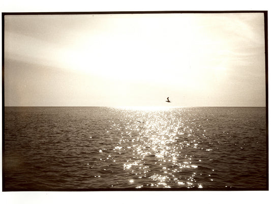 Le périple commence