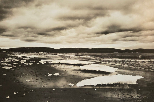 2 degrés - Exposition à la galerie du Cégep de Gaspé, Chrysalide